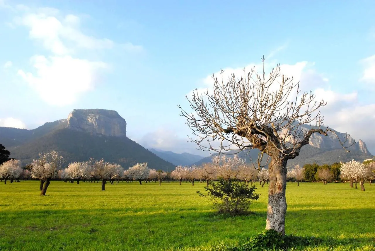 *** Hotel Alaro Natura Rural Suites Spagna